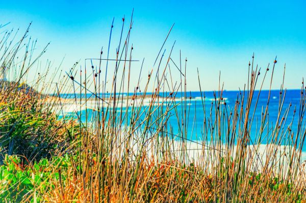 Strand an der Ostsee