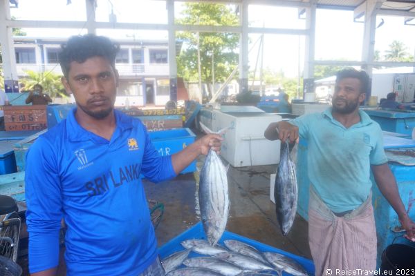 Sri Lanka Fisch