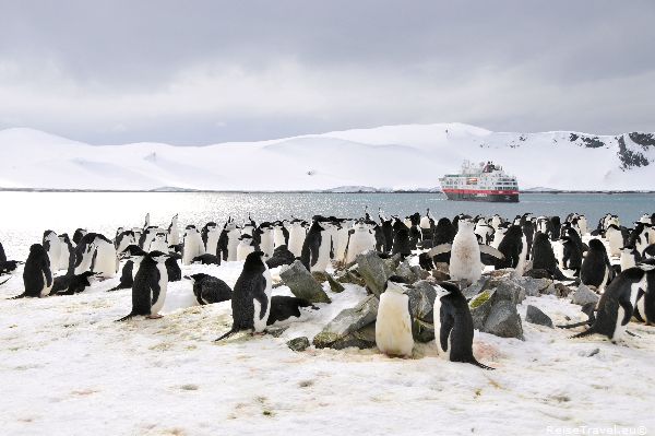 Antarktis ReiseTravel.eu