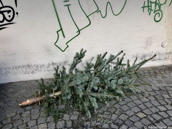 Entsorgter Weihnachtsbaum by ReiseTravel.eu 