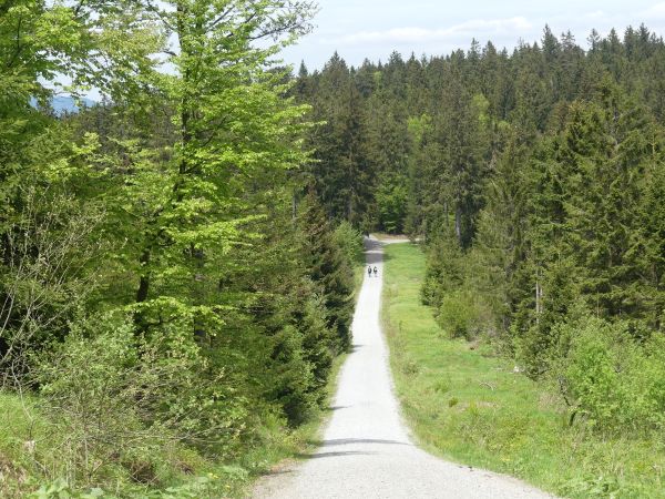 Wandern im Bayerischen Wald