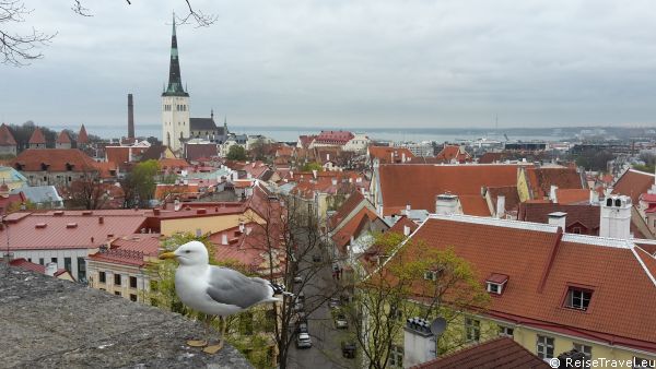 Tallinn by Ronald Keusch ReiseTravel.eu 