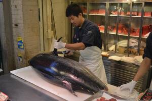 Tokyo Tsukiji Fischmarkt ReiseTravel.eu